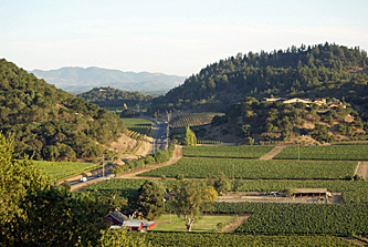 The Stags Leap District Appellation Collection