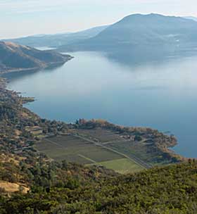 Picturesque Lake County is being discovered for its red varitials.