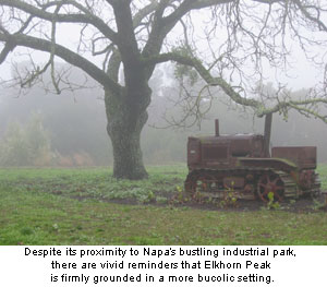  Elkhorn Peak’s setting in Jamieson Canyon is as countrified and peaceful as any.