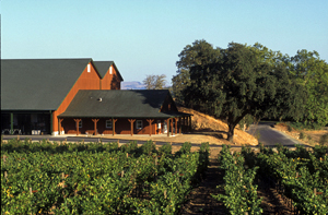 Hendry vineyards under the rainbow