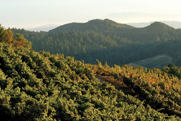 Hess Collection expands Malbec production