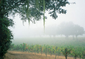 Sonoma Mountain and Bennett Valley in Sonoma Valley AVA