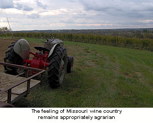 Röbller Vineyard