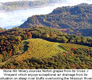 Stone Hill Winery’s Cross J Vineyard with the Missouri River in the background