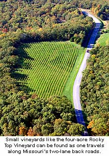 Stone Hill Winery’s Rocky Top Vineyard