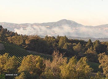 Fog rolling in over Russian River Valley vineyards