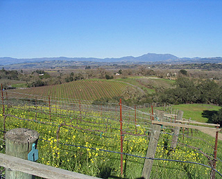 Russian River Valley Pinot Noir