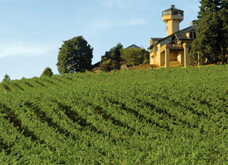 Willamette Valley Pinots Come of Age