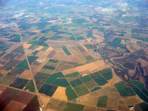 Central Valley and premium grapes aerial shot