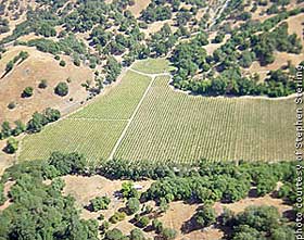 Esterlina Vineyards in the Cole Ranch AVA