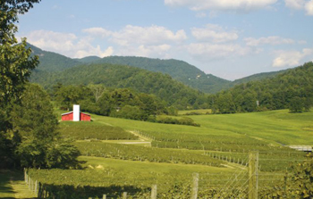 Persimmon Creek Vineyards