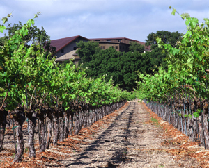 Firestone Vineyards in Santa Ynez Valley gets sold.