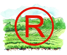 Trademarking a vineyard to protect its name and reputation.