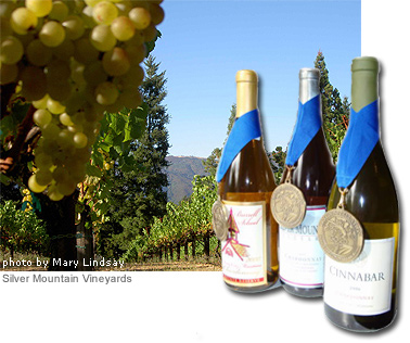 Appellation America’s <i>Best-of-Appellation</i>™ Evaluation Program identifies the Chardonnays that best typify the Santa Cruz Mountains AVA, and the taste profiles of the region’s varied sub-areas.