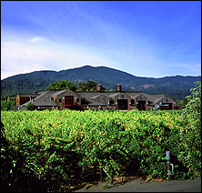 Cakebread Cellars Winery