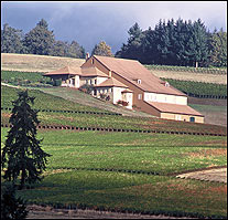 Domaine Drouhin - Oregon Wines