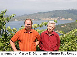 Girard Zinfandel