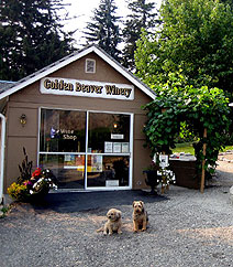 Golden Beaver Winery