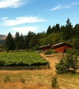 Lost Coast Vineyards