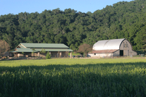 Thacher Winery