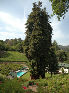 Pleasant Valley Vineyards