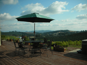 Trinity Vineyards
