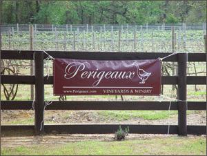 Perigeaux Vineyards And Winery