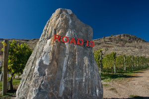 Road 13 Vineyards