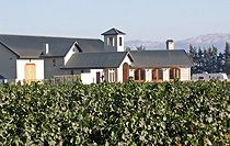 San Saba Vineyards