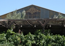 Windward Vineyard