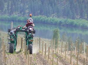Blue Mountain Vineyard and Cellars