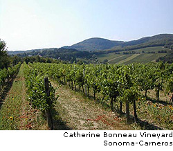 Catherine Bonneau Vineyard, Sonoma Carneros