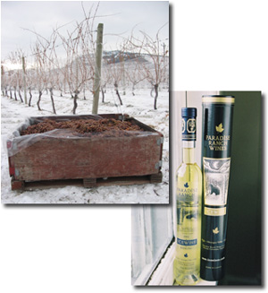 Paradise Ranch Wines - British Columbia icewine