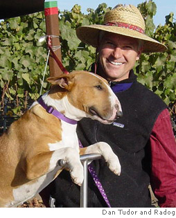 Tudor Wines Santa Lucia Highlands