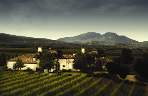 Tamayo Family Vineyards