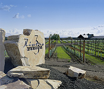 Three Rivers Winery