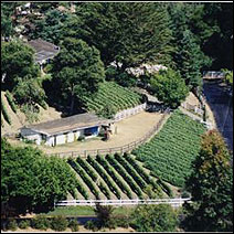 Clos Tita Vineyards & Winery