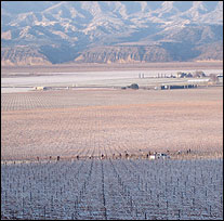 CORE Wines - Santa Barbara County