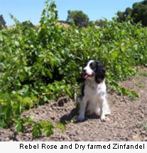 Dover Canyon Winery -White Bone