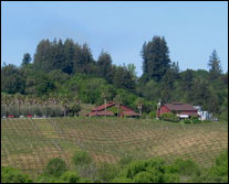 Iron Horse Vineyards